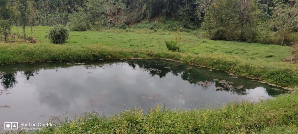 La Paz Coorg Homestay At Madikeri Town Exteriér fotografie